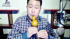 葫芦丝视频,视频带你领略民族风情