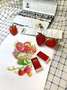 种草莓的技巧视频教程