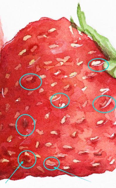 种草莓的技巧视频教程