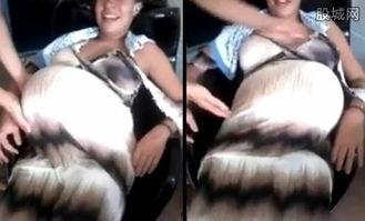 孕妇肚子视频,见证生命奇迹的美丽瞬间