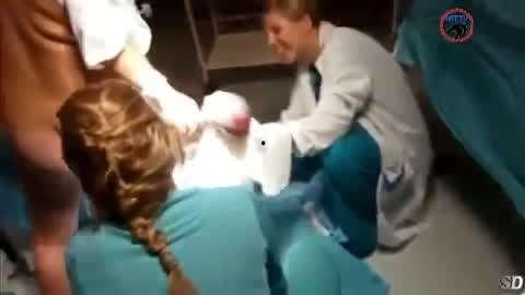 孕妇分娩正面视频,见证生命诞生的震撼时刻