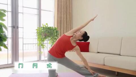 入门瑜伽视频,入门视频精华解析