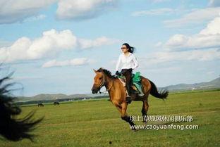 骑马的视频,骑马视频中的速度与激情