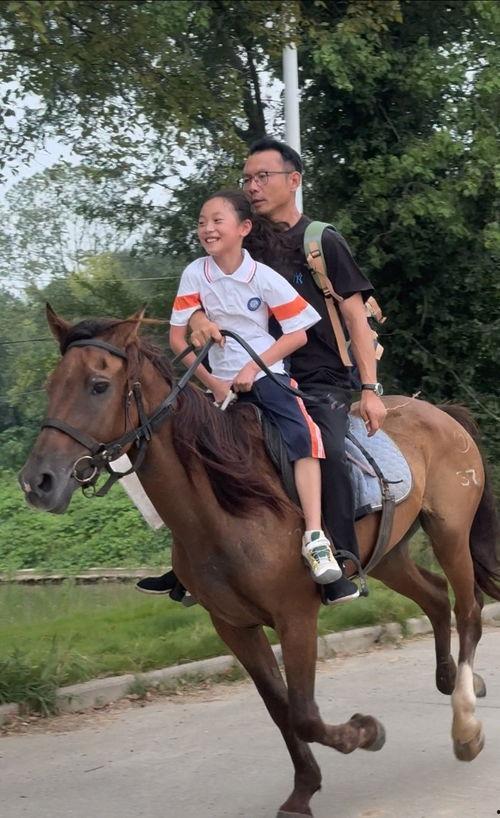 骑马的视频,骑马视频中的速度与激情