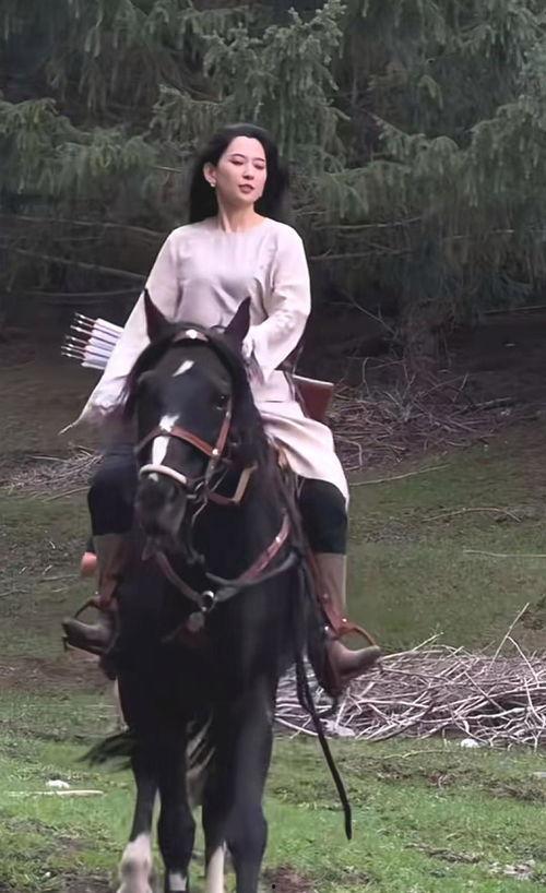 骑马的视频,骑马视频中的速度与激情