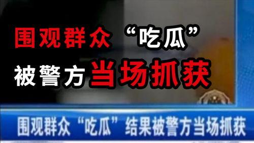 韶关吃瓜最新事件爆料新闻,揭秘背后惊人真相
