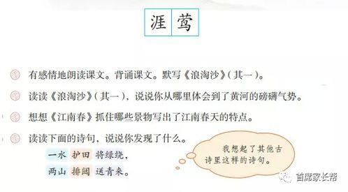 六年级语文微课视频