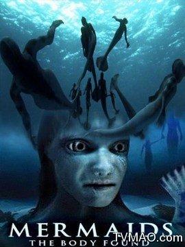 美人鱼视频大全,梦幻海洋中的绝美邂逅