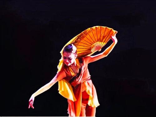 古典舞视频独舞,探寻舞者与舞蹈的交融之美