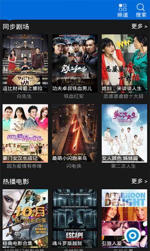 猫鱼视频,揭秘猫咪与鱼儿的奇妙互动瞬间