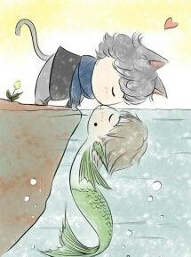 猫鱼视频,揭秘猫咪与鱼儿的奇妙互动瞬间