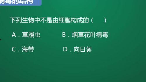 生物视频讲解,生物视频深度解析