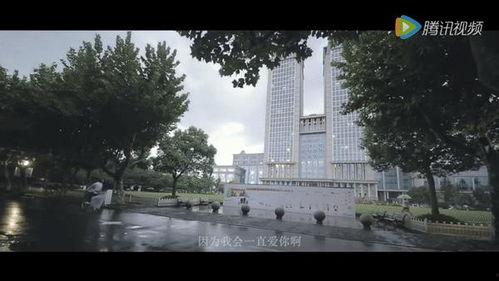 复旦大学视频,探索学术前沿与校园生活