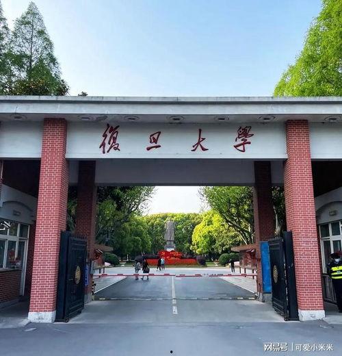 复旦大学视频,探索学术前沿与校园生活
