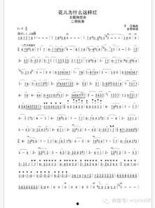 视频二胡独奏,二胡独奏的深情演绎