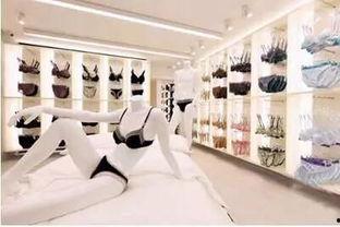 内衣店视频,时尚内衣背后的故事与魅力