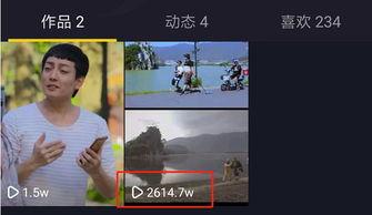 真的视频,视频背后的故事与情感