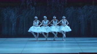 四只小天鹅芭蕾舞视频,四只小天鹅芭蕾舞的优雅演绎