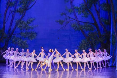 四只小天鹅芭蕾舞视频,四只小天鹅芭蕾舞的优雅演绎