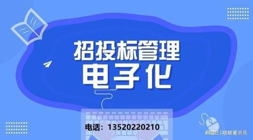 招标视频,项目亮点与竞标策略全揭秘