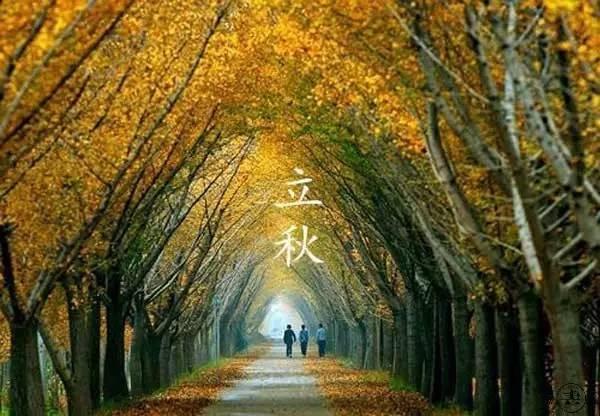 视频 立秋,秋意渐浓，收获的季节