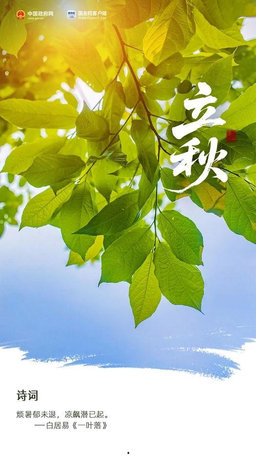 视频 立秋,秋意渐浓，收获的季节