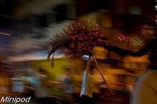 神龙摆尾视频,探寻神秘舞姿背后的传奇故事