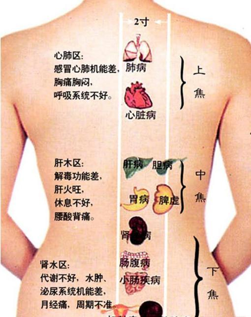 怎么刮痧背部视频教程,轻松掌握背部刮痧技巧