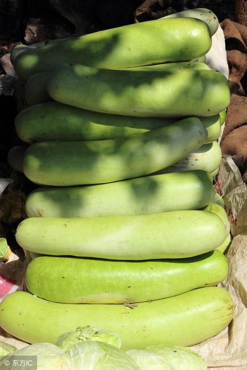 瓠子瓜今日多少钱,价格波动背后的市场动态