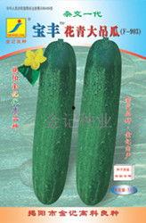 中牟吊瓜今日价格行情,价格波动解析