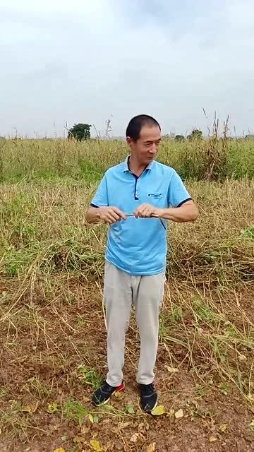 拖鞋哥视频,揭秘日常生活中的趣味瞬间