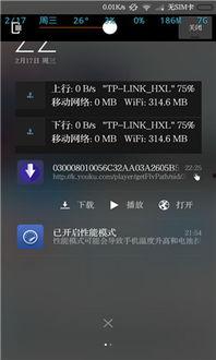 一键下载视频,轻松掌握高效视频获取技巧